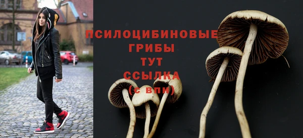 каннабис Абаза
