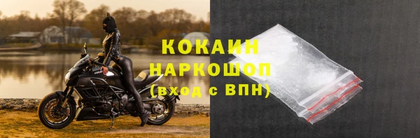 сатива Абинск